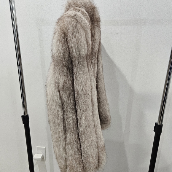 COPY - SAGA Fox M - Gorgeous! - Picture 11 of 17